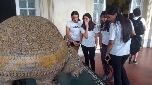 Estudo do meio 2024 - Museu Catavento