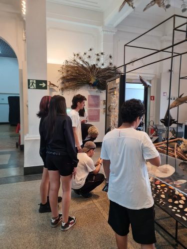 Estudo do meio 2024 - Museu de Zoologia