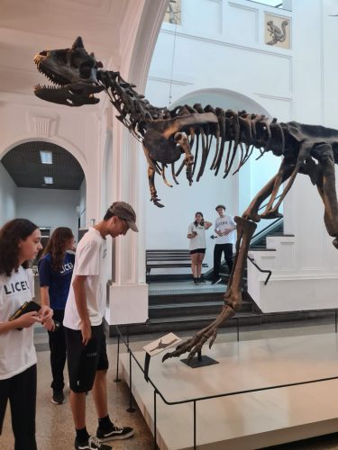 Estudo do meio 2024 - Museu de Zoologia