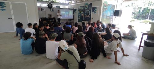 Estudo do meio 2024 - Paraty